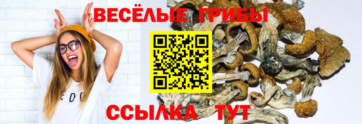 Псилоцибиновые грибы MAGIC MUSHROOMS  Вход с VPN  Грозный  Галлюциногенные грибы Magic Shrooms 