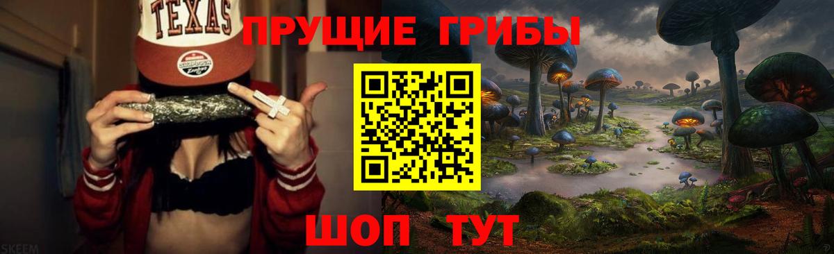 Псилоцибиновые грибы мухоморы Грозный
